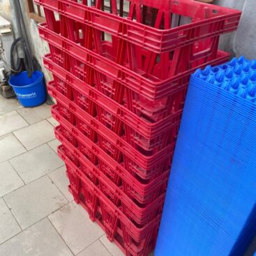CAISSES DE TRANSPORT D'OEUFS ET PLATEAUX
